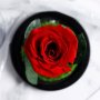 Червена вечна роза в стъкленица, перфектният подарък, снимка 5