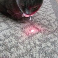 Интерактивен котешки нашийник -Smart Laser с лазерен проектор,USB+акумулаторна батерия, снимка 14 - За котки - 40975851