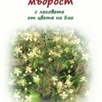 Емоционална мъдрост с лековете от цветя на Бах, снимка 1 - Други - 33876826