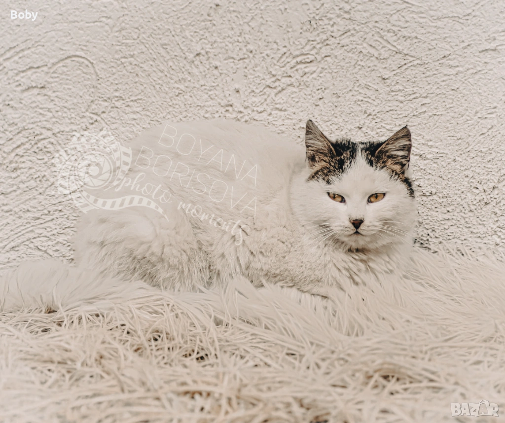 Принт за стена размер А3 +, снимка 1