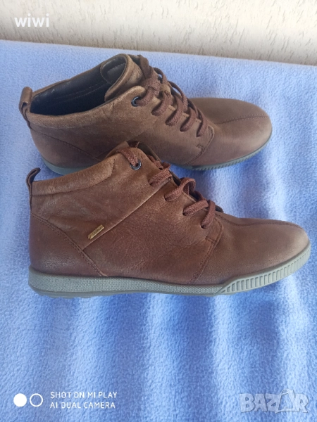 Ecco coretex номер 39., снимка 1