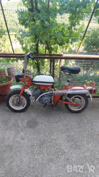 Рига мини, снимка 1