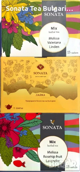 Маточина Дилянка Липа Лайка Шипка Лавандула чай билков, снимка 1