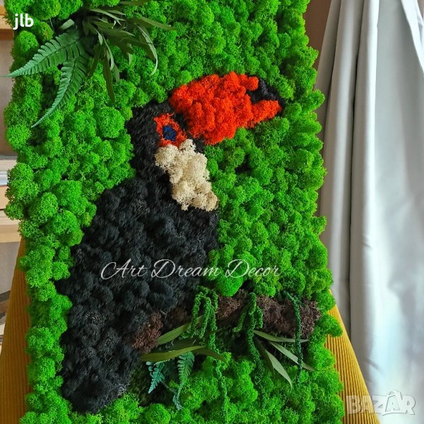 Живи картини и декорации от стабилизиран Скандинавски мъх, снимка 1