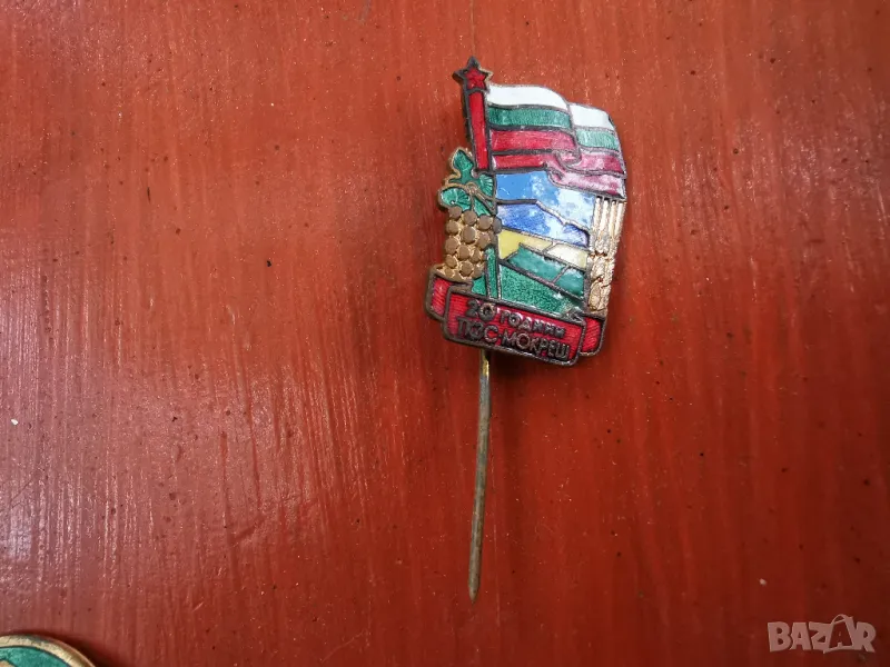 РЯДКА БРОНЗОВА ЗНАЧКА, снимка 1