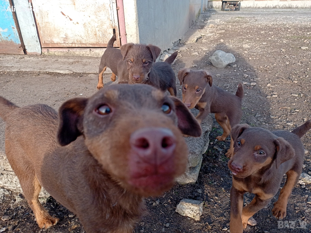 Продавам , снимка 1