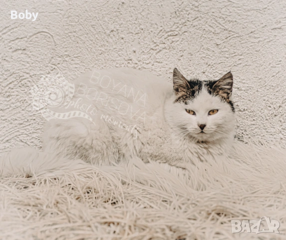 Принт за стена размер А3 +