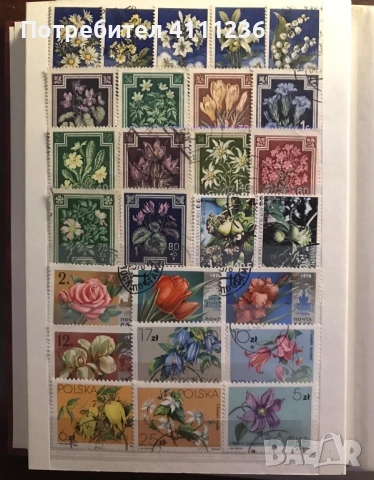 Класьор с марки на тема "Цветя", снимка 9 - Филателия - 53611717
