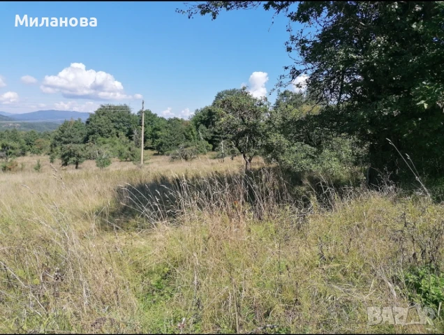 Продавам земеделска земя с.Гюешево., снимка 9 - Земеделска земя - 50913537