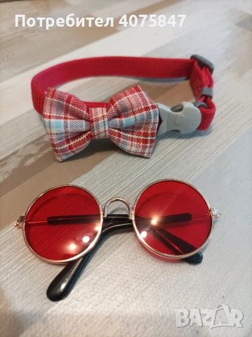 аксесоари за котка