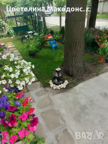 Стая за нощувка командировани служители, снимка 8 - Стаи под наем - 35377804