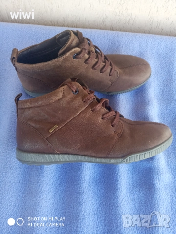 Ecco coretex номер 39.