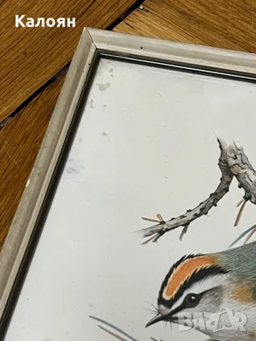 Картинка с птиченце в рамка , снимка 4 - Декорация за дома - 50080457