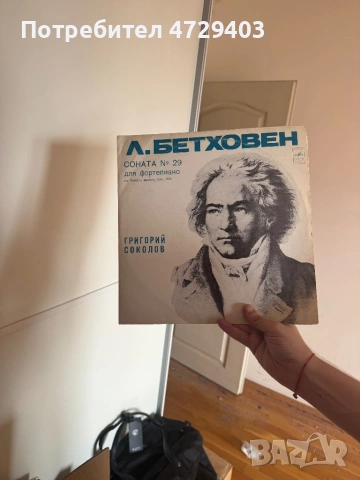 Грамофонни плочи , снимка 15 - Грамофонни плочи - 53488659