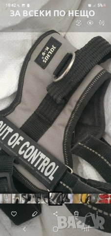 кучешки аксесоари