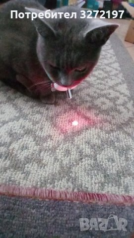 Интерактивен котешки нашийник -Smart Laser с лазерен проектор,USB+акумулаторна батерия, снимка 14 - За котки - 40975851