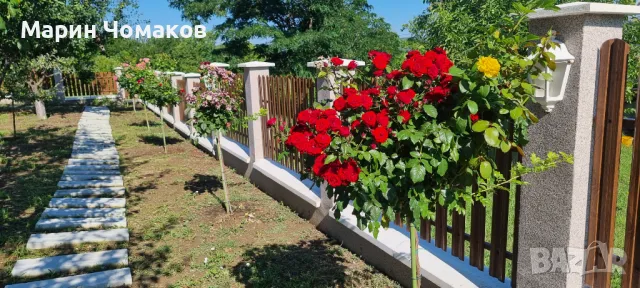 Парцел за продажба 1080 кв.м. Арбанашко бърдо , снимка 2 - Парцели - 50224660