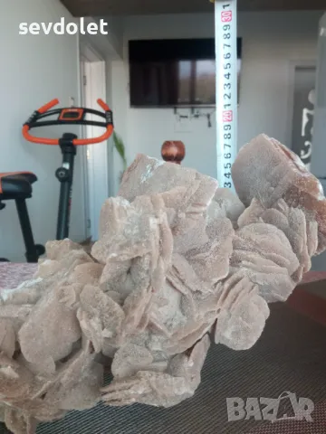 Огромни и прекрасни Пустинни рози от Сахара.Обявената цена е за двете., снимка 8 - Колекции - 47318818