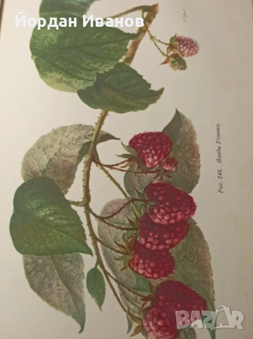 Антикварна руска книга-1948 г., снимка 2 - Антикварни и старинни предмети - 53612917