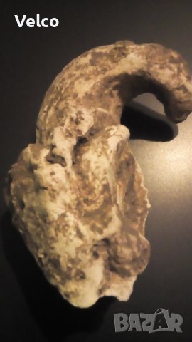 фусил, снимка 2 - Други ценни предмети - 41837078