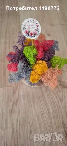 Стъклени кашпи със скандинавски мъх , снимка 10 - Декорация за дома - 48169993