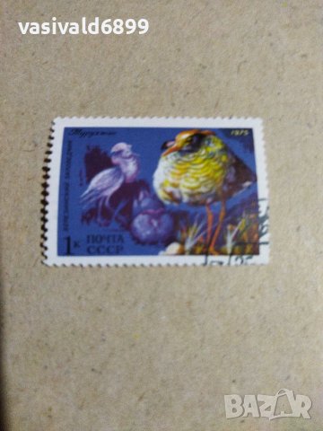 Лот от 5 марки СССР , снимка 3 - Филателия - 40522335