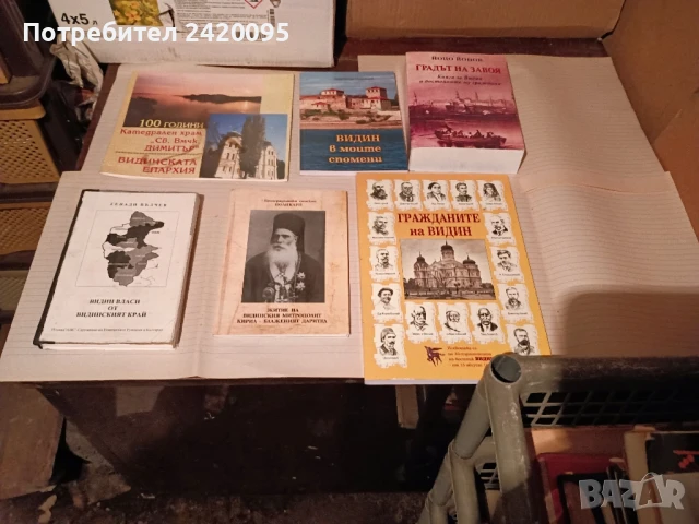 видин какъвто беше -10лв