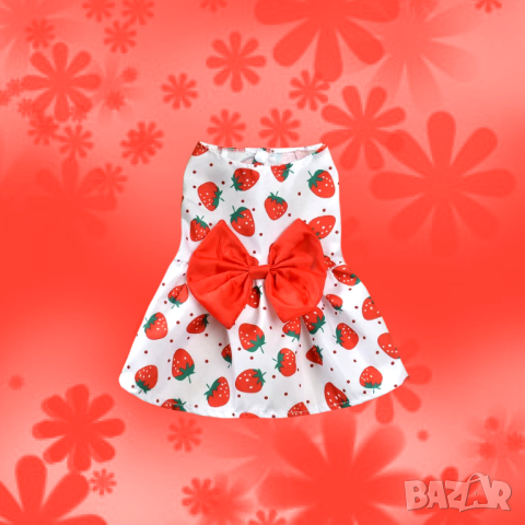 Рокли за кучета и котки. Рокля с панделка за куче и котка. Кучешки рокли. Дрехи за кучета, снимка 7 - За кучета - 34349580