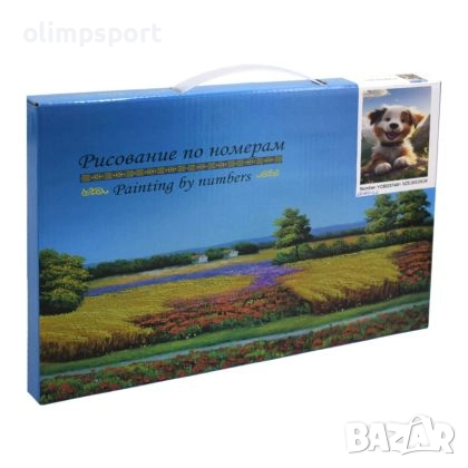 Комплект за рисуване по номера. 27014402 , снимка 2 - Рисуване и оцветяване - 51864620