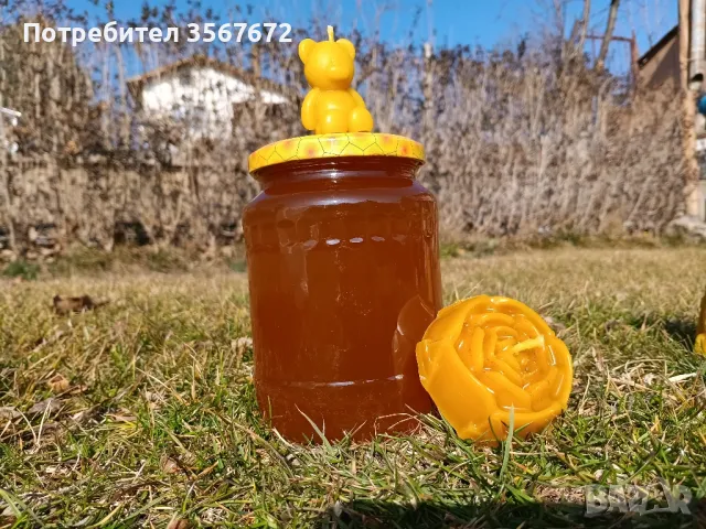 Билков пчелен мед, снимка 2 - Пчелни продукти - 49073548