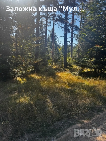 Парцел Цигов чарк, снимка 6 - Парцели - 51823147