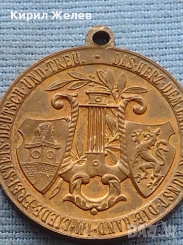 Рядък медал GRAZ 1902г. Уникат за КОЛЕКЦИОНЕРИ 38556, снимка 2 - Антикварни и старинни предмети - 42726076