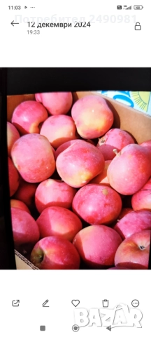 Ябълки десертни Флорина, Фуджи от Кюстендил , снимка 1