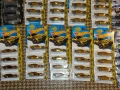Нови колички Hot wheels 50th anniversary 99 броя, снимка 8