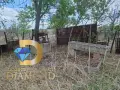 Едноетажна къща в село Бяло поле, общ. Опан, снимка 2