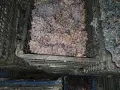 Продавам грозде, снимка 2