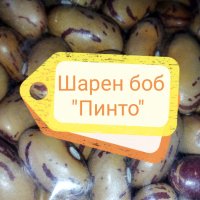 Шарен боб "Пинто", 100 гр. , снимка 1 - Други - 40627382