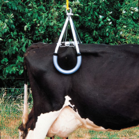 Скоба за повдигане на паднали крави (лифтер), снимка 4 - Крави - 44554714