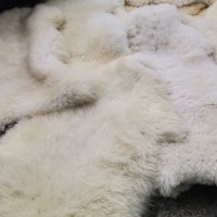 Естествени овчи кожи Бели 100% КАЧЕСТВО, снимка 5 - Декорация за дома - 38646554