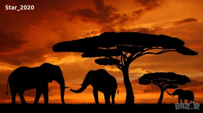 Светеща картина с LED осветление - слонове , снимка 1