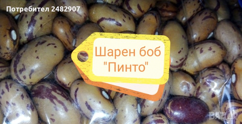 Шарен боб "Пинто", 100 гр. , снимка 1