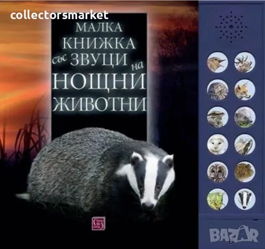 Малка книжка със звуци на нощни животни, снимка 1