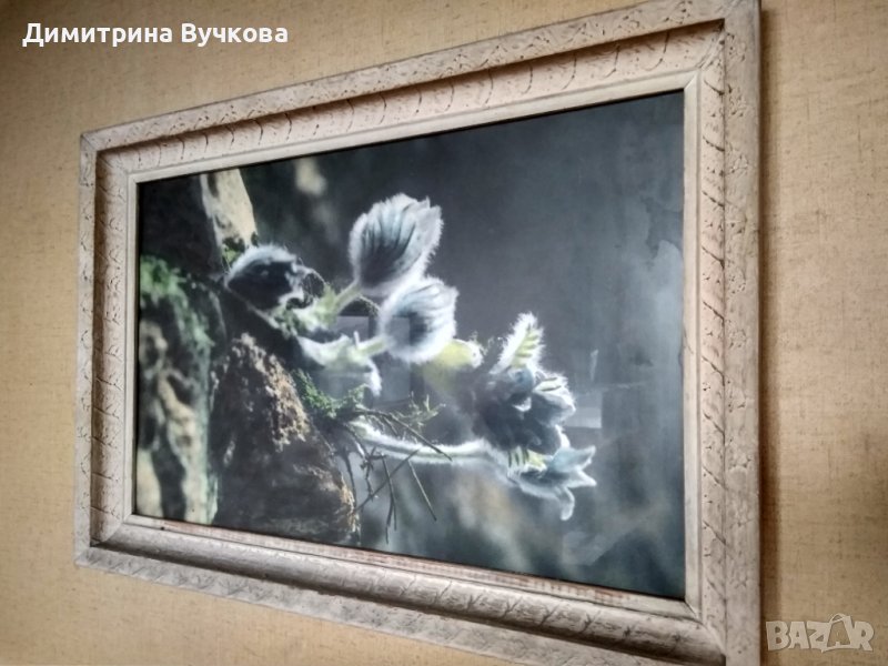 Картина с рамка 49 см на 73 см, снимка 1