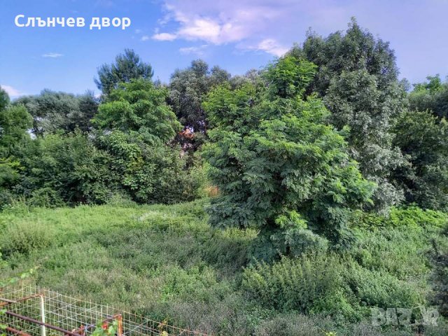 Косене на трева. Рязане на храсти и опасни дървета. Разчистване на терени., снимка 4 - Други услуги - 40197343