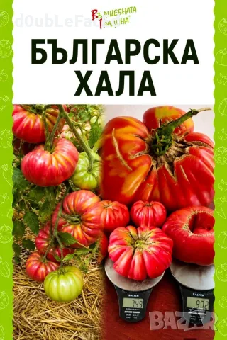 Семена от нехибридни сортове , снимка 3 - Сортови семена и луковици - 56155541