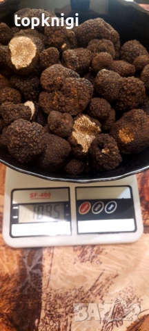  Свежи трюфели - ароматни, черни и пресни, снимка 2 - Други - 41676648