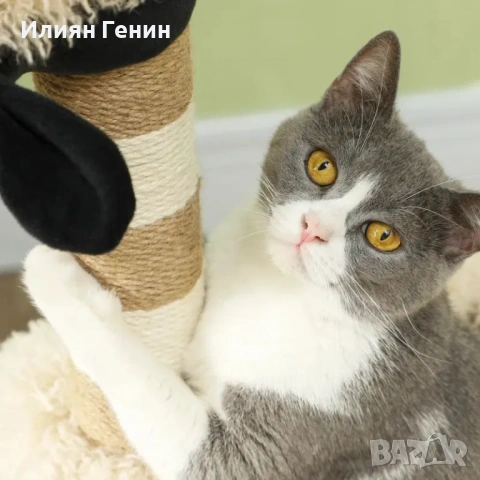Дърво за котки PawHut, снимка 8 - За котки - 53730088