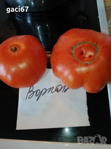 Семена домати и други зеленчуци , снимка 10 - Сортови семена и луковици - 51342295