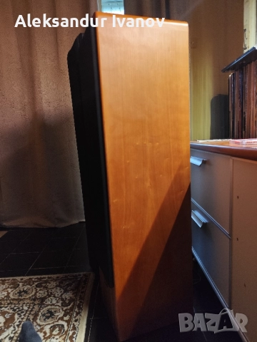 Canton Ergo SC-L (cherry), снимка 5 - Тонколони - 52642387