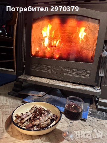 камина на дърва Plamen, снимка 2 - Камини - 52072512